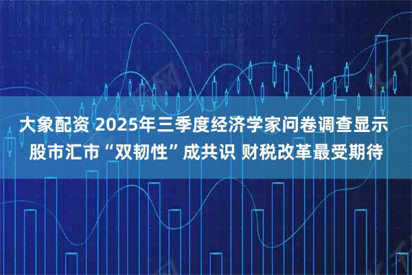 大象配资 2025年三季度经济学家问卷调查显示 股市汇市“双韧性”成共识 财税改革最受期待