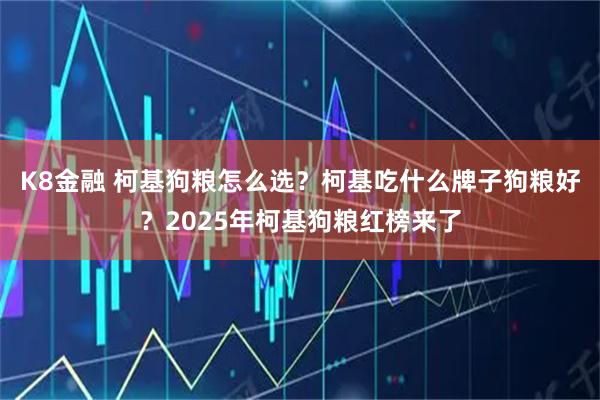 K8金融 柯基狗粮怎么选？柯基吃什么牌子狗粮好？2025年柯基狗粮红榜来了