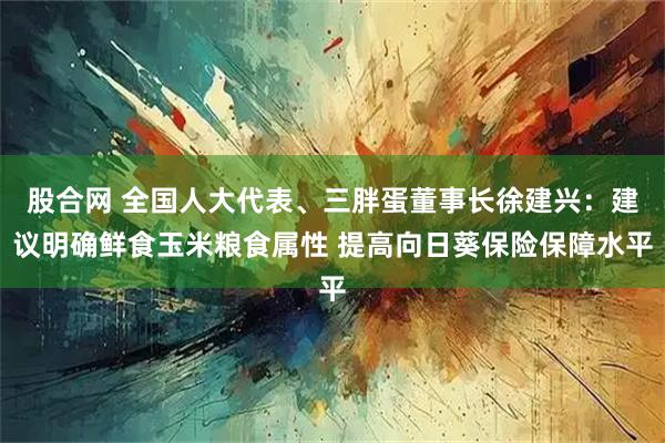 股合网 全国人大代表、三胖蛋董事长徐建兴：建议明确鲜食玉米粮食属性 提高向日葵保险保障水平