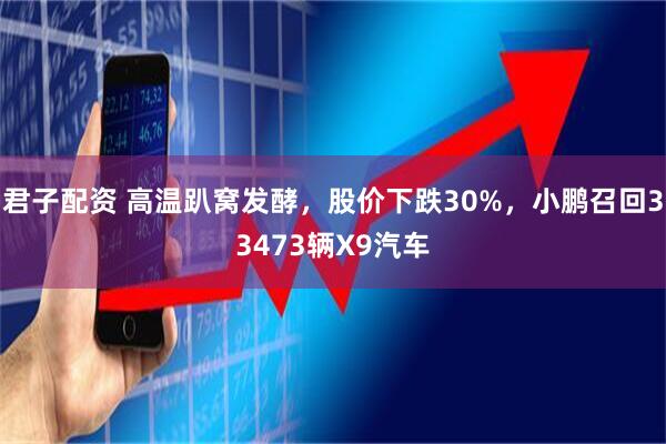 君子配资 高温趴窝发酵，股价下跌30%，小鹏召回33473辆X9汽车