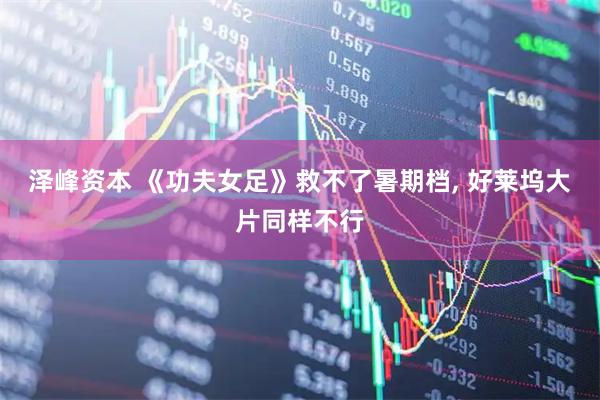 泽峰资本 《功夫女足》救不了暑期档, 好莱坞大片同样不行